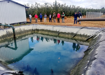 Asambleísmo, mala receta para la gestión hídrica